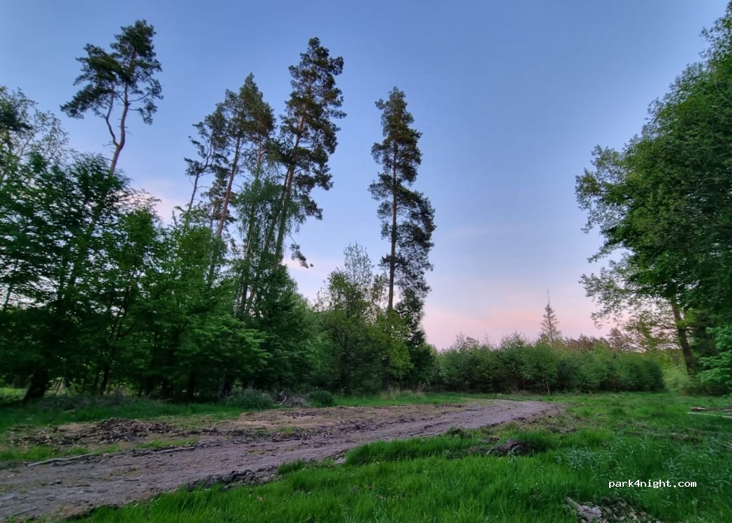 (405 02) Růžová - — foto
