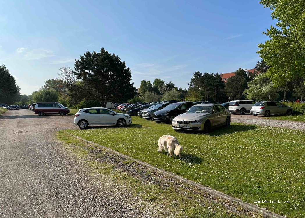 (62520) Le Touquet-Paris-Plage - 236 Boulevard de la Canche — foto 2