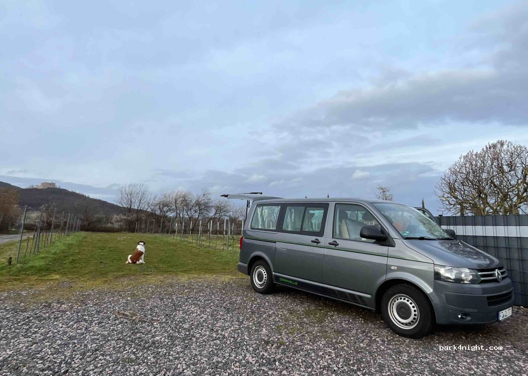 Weingut und Gästehaus Herty — foto 3