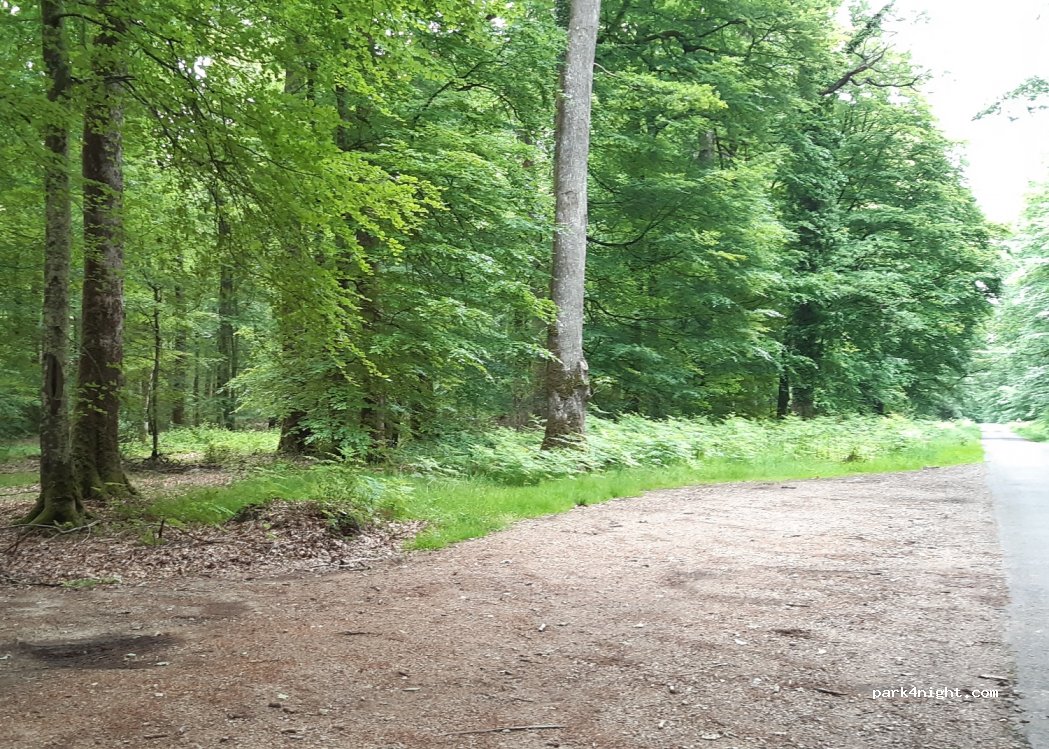 (61360) Belforêt-en-Perche - — foto
