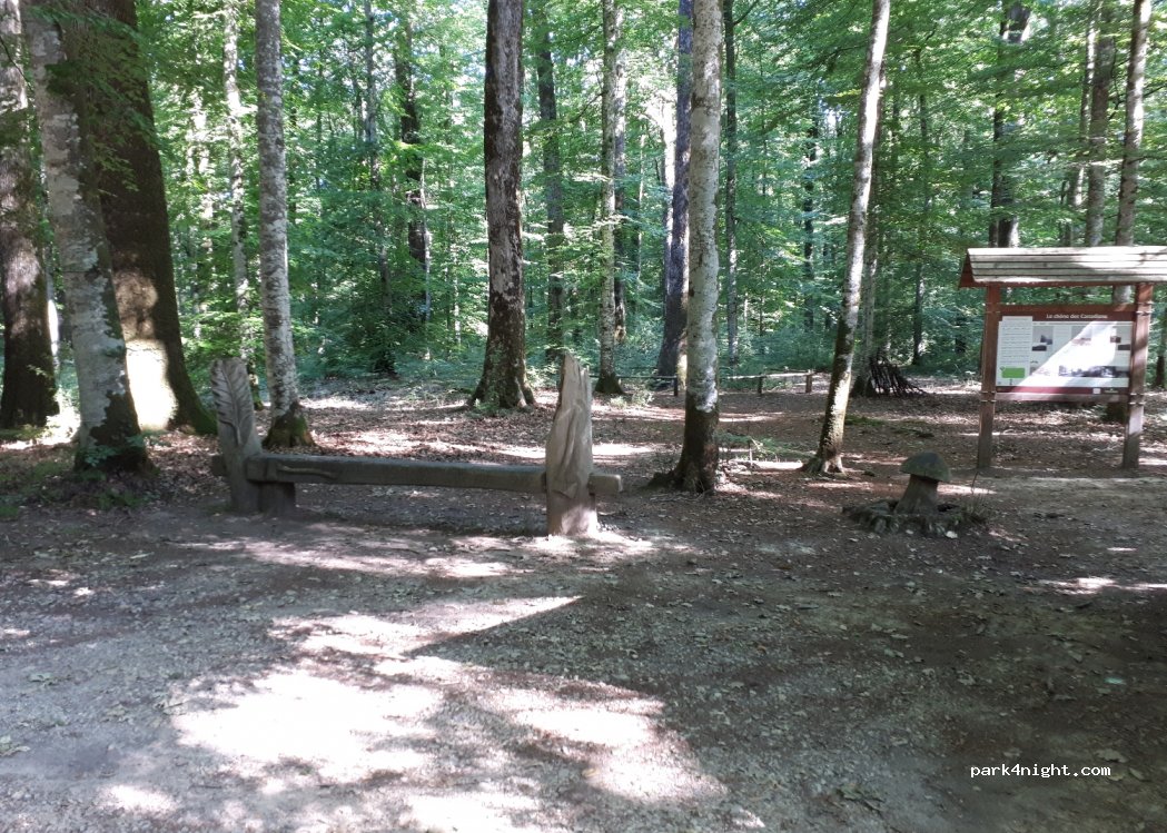 (61360) Belforêt-en-Perche - — foto 2