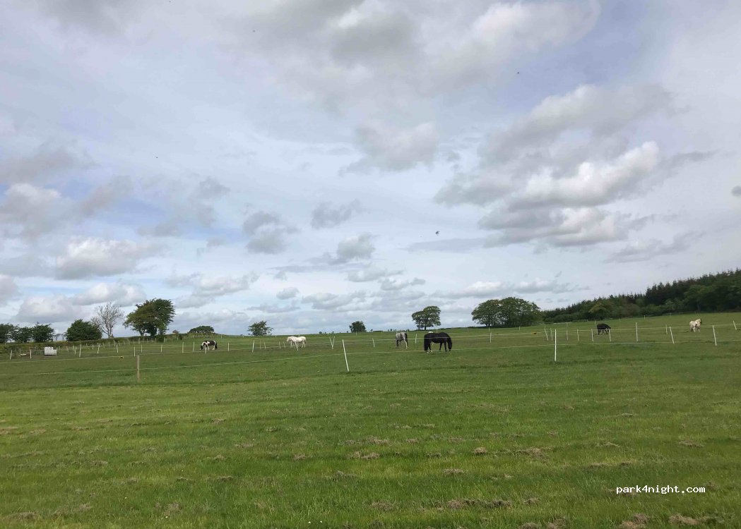 Hillend Camping Ayrshire — foto 2