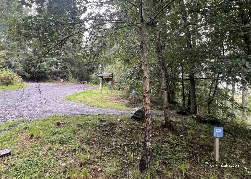 Logierait Woods Car Park — foto 5