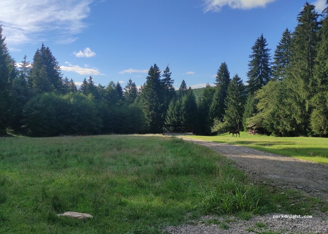(527190) Zăbala - Unnamed Road — foto