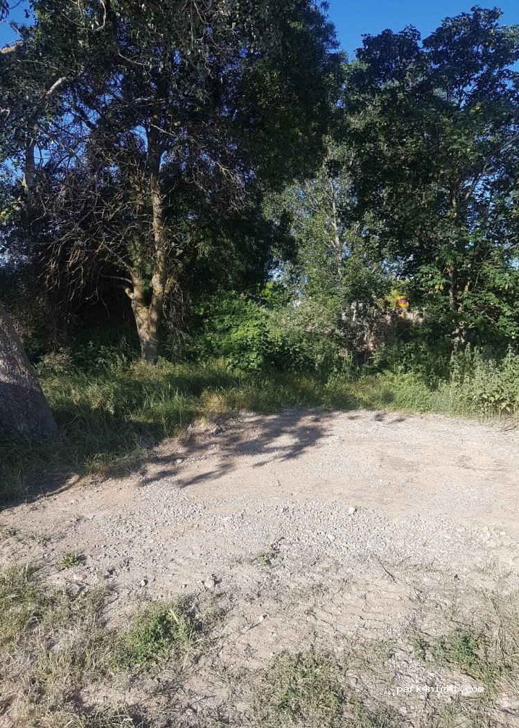 (31390) Olite - 2020 Diseminado Diseminados — foto 2