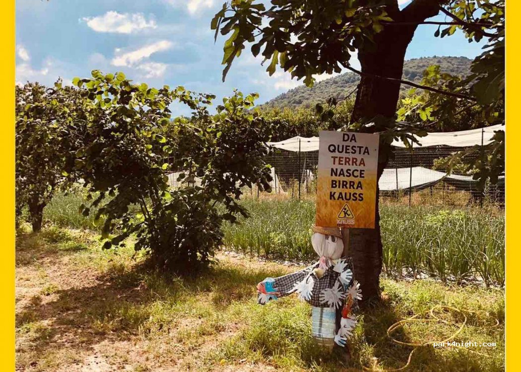 Birrificio Agricolo Kauss — foto 3