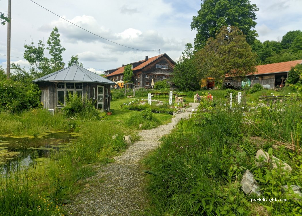 Artemisia — foto 2