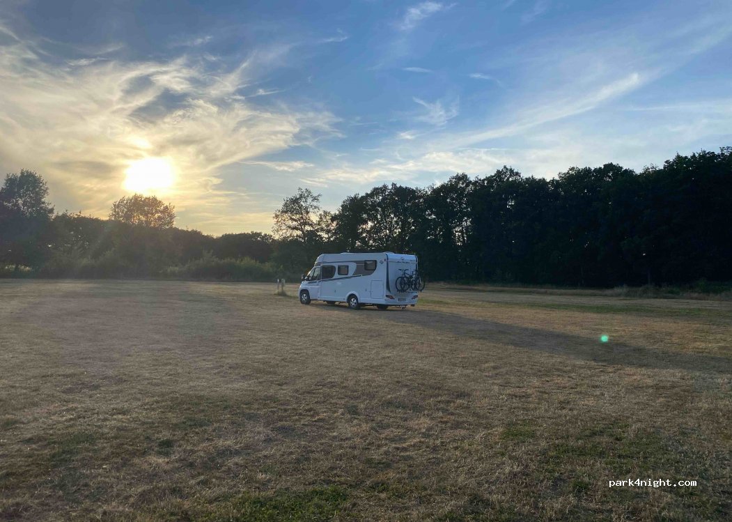 Lohner Seestern am Parksee Lohne — foto 2