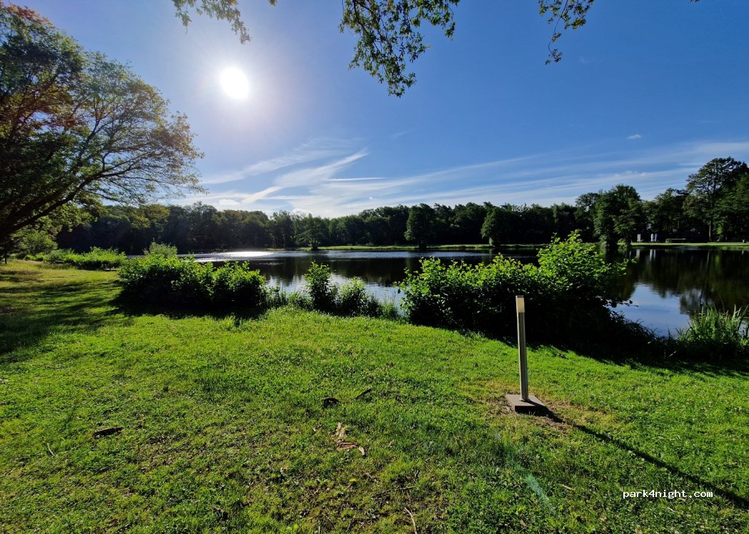 Lohner Seestern am Parksee Lohne — foto 3