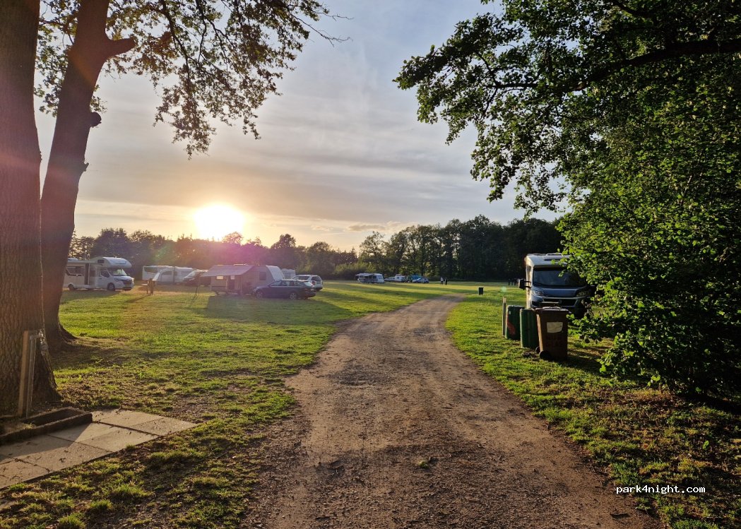 Lohner Seestern am Parksee Lohne — foto 4