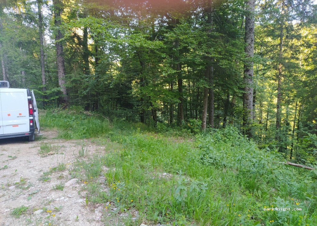 (39150) La Chaux-du-Dombief - — foto