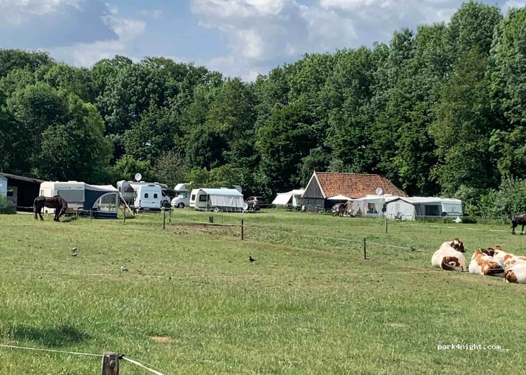 't Paardeweitje — foto