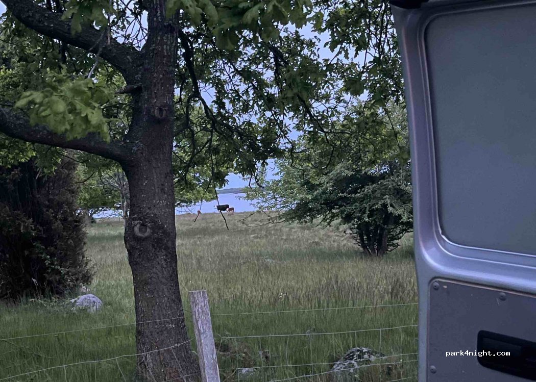 (370 43) Sturkö - 6B Sturkövägen — foto