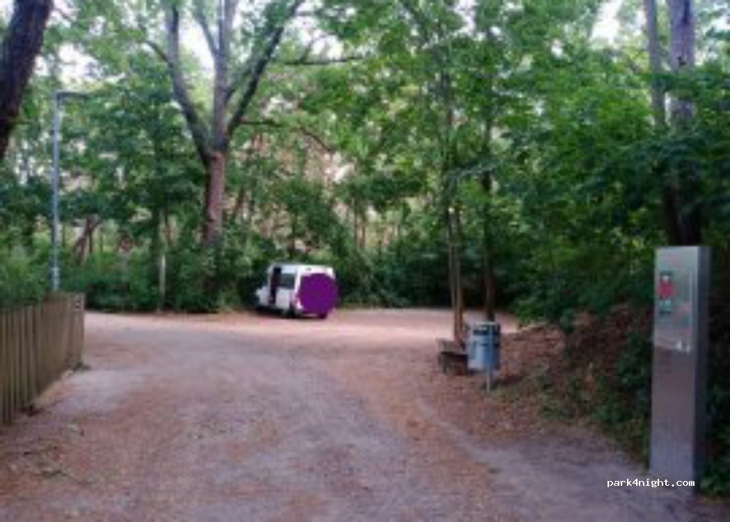 (14548) Schwielowsee - 17 Am Waldrand — foto 2