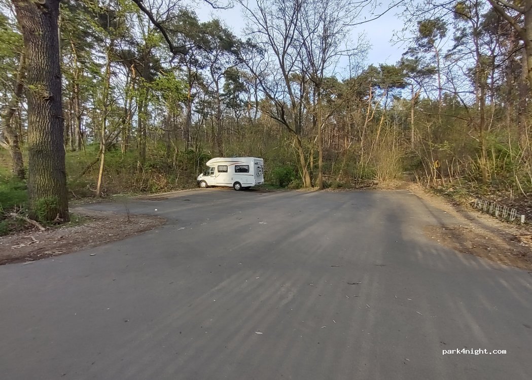(14548) Schwielowsee - 17 Am Waldrand — foto 3