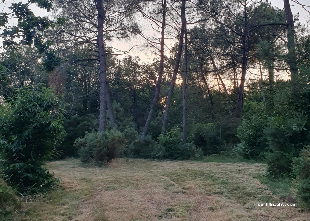 (56800) Campénéac - — foto 3