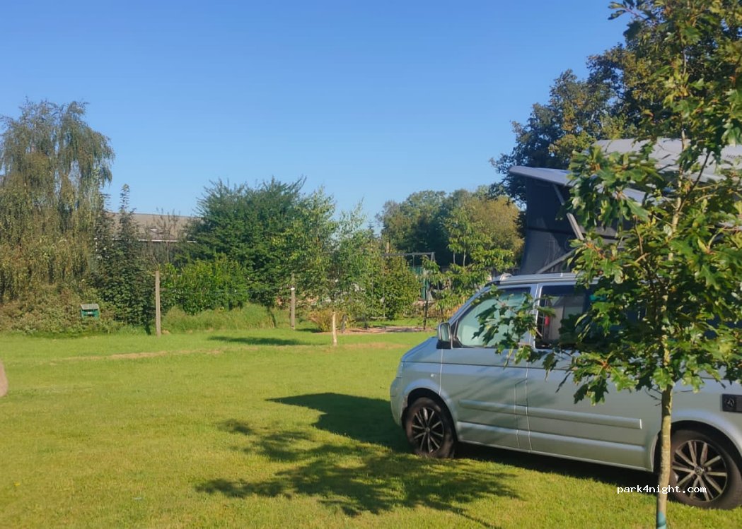 (24969) Lindewitt - Waldweg 10 — foto 3