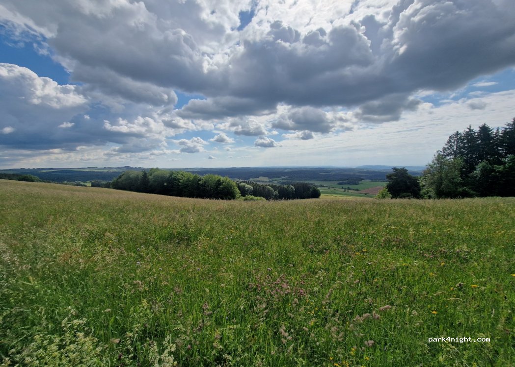 (78194) Immendingen - — foto 2