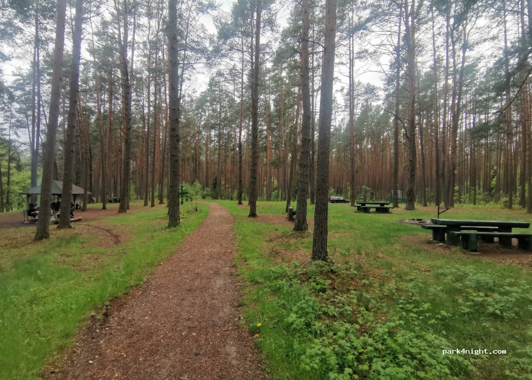 (15166) Nemenčinė - Unnamed Road — foto