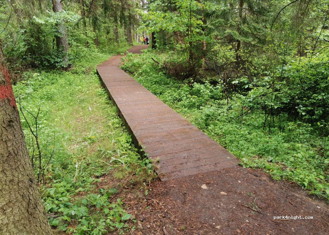 (15166) Nemenčinė - Unnamed Road — foto 2