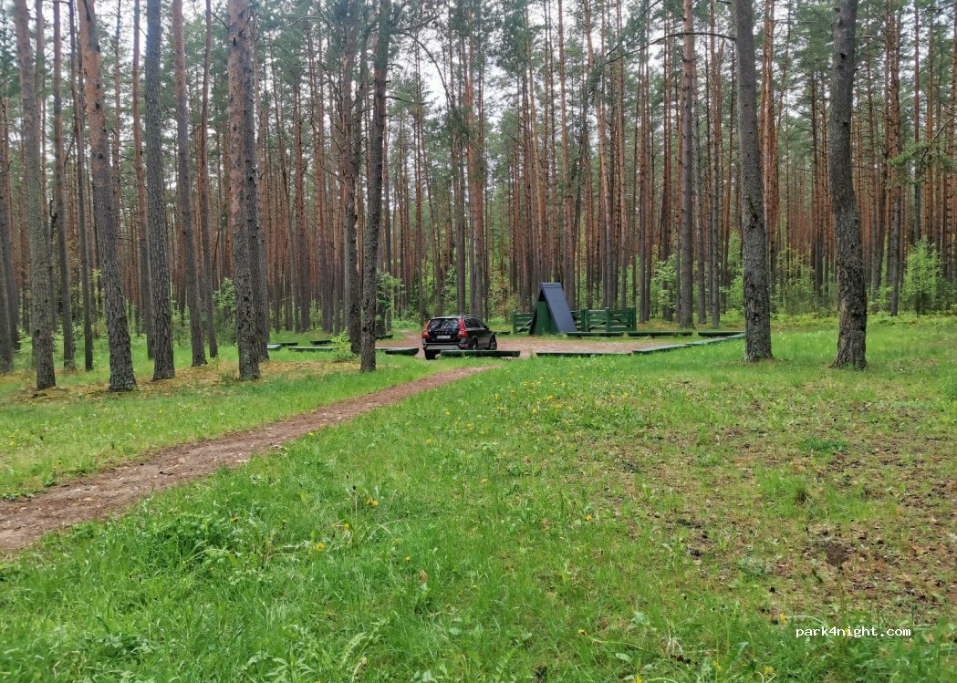 (15166) Nemenčinė - Unnamed Road — foto 4