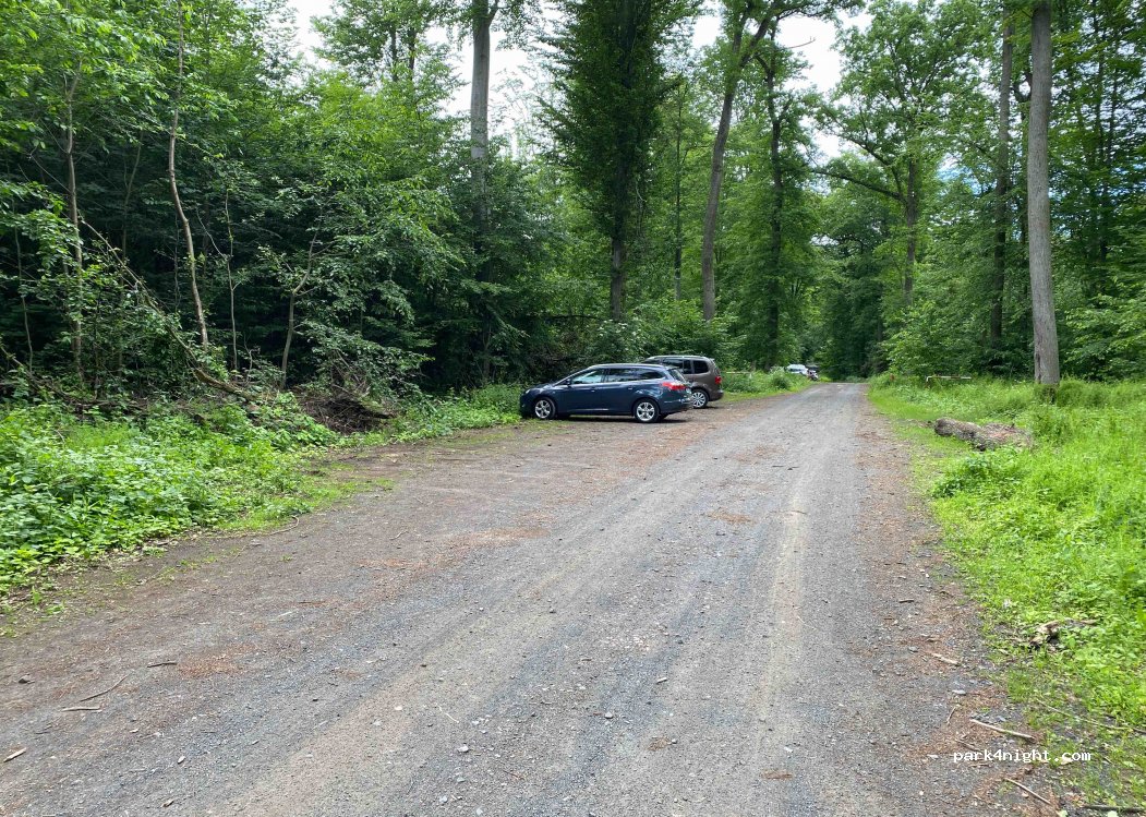 (35423) Lich - Unnamed Road — foto 2