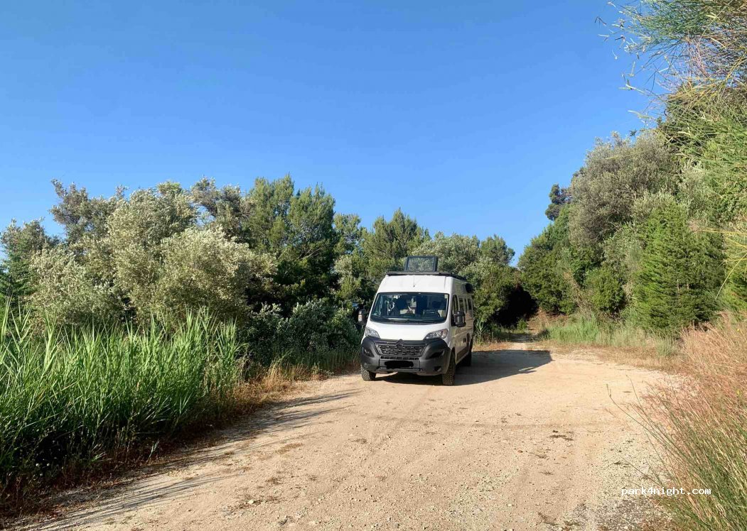 (491 00) Parelia - Unnamed Road — foto