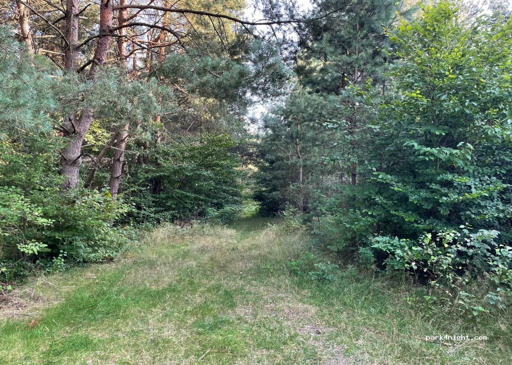 (42) Bobolice - — foto 2