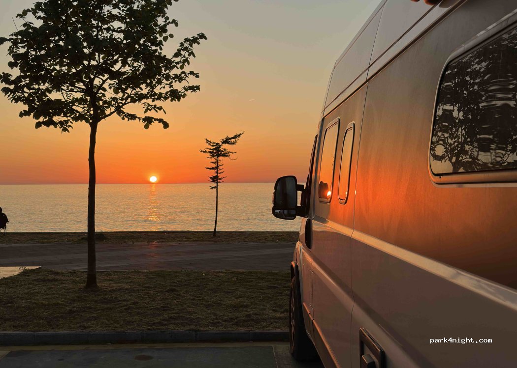 (53700) Fındıklı - 1 D010 — foto 4