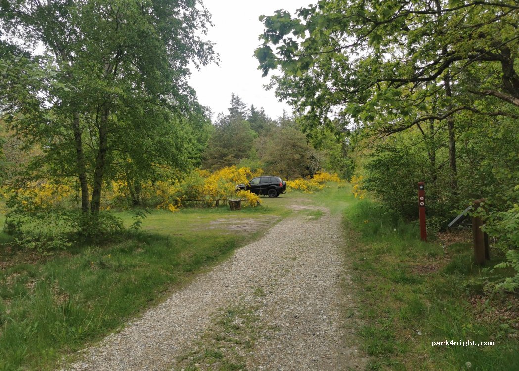 (7700) Thisted - 178 Aalborgvej — foto