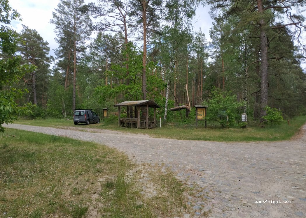 (16244) Schorfheide - — foto