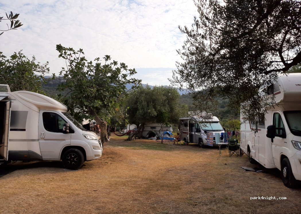 Sunshine Summer Camping — foto 2