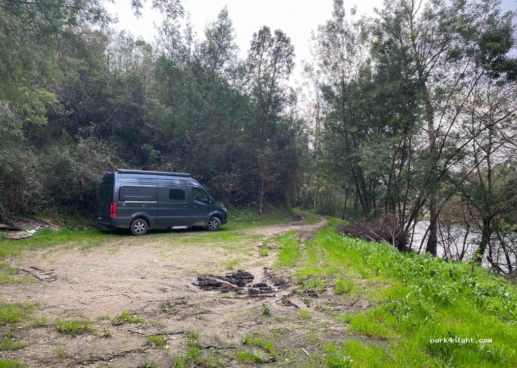 (3300) Secarias - — foto 3