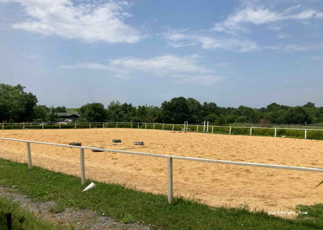 Royal Horse Club — foto