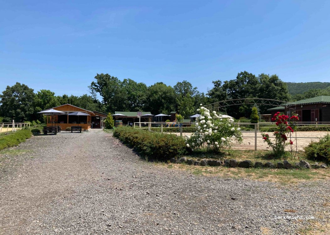 Royal Horse Club — foto 2