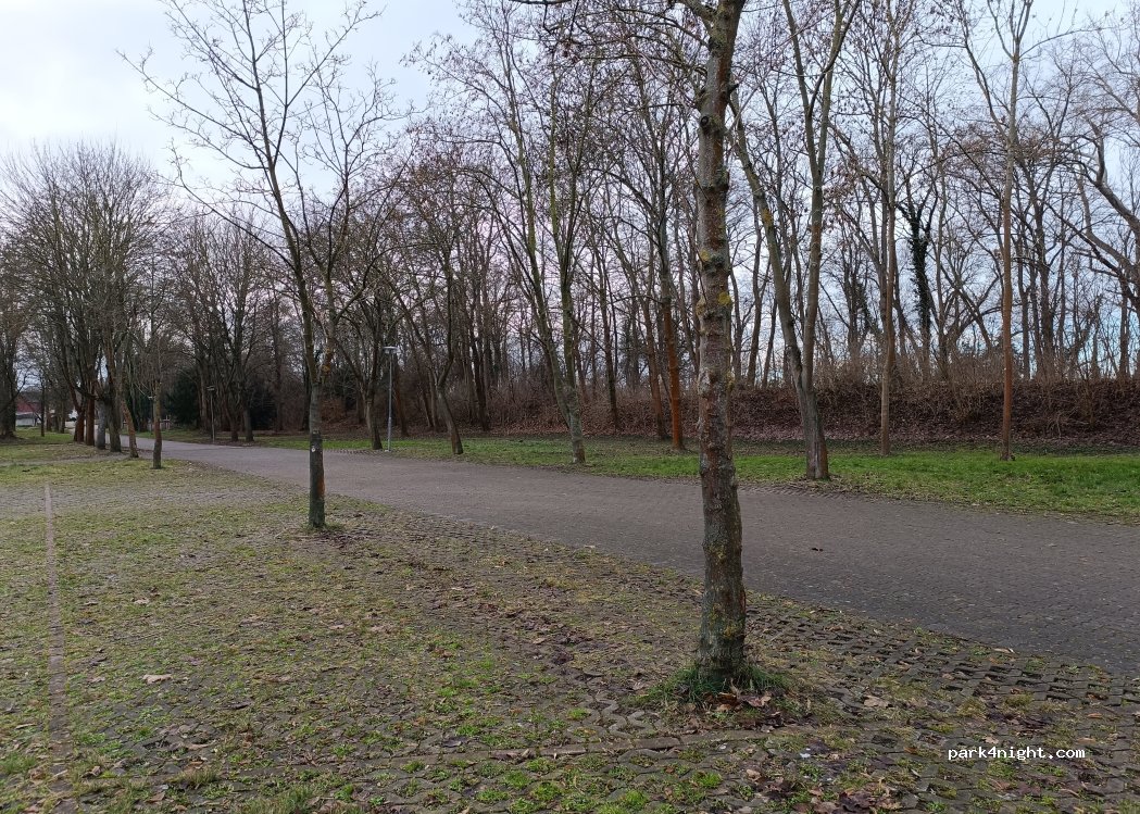 (39171) Sülzetal - 10 An der Plantage — foto 5