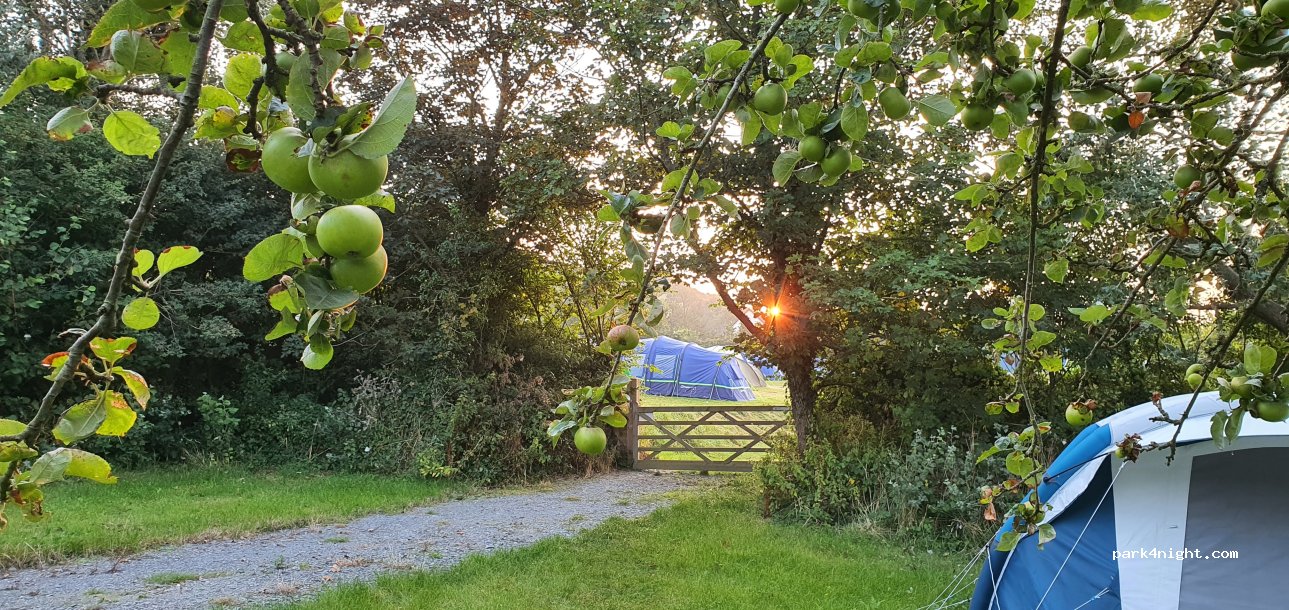 camping@croydebay — foto