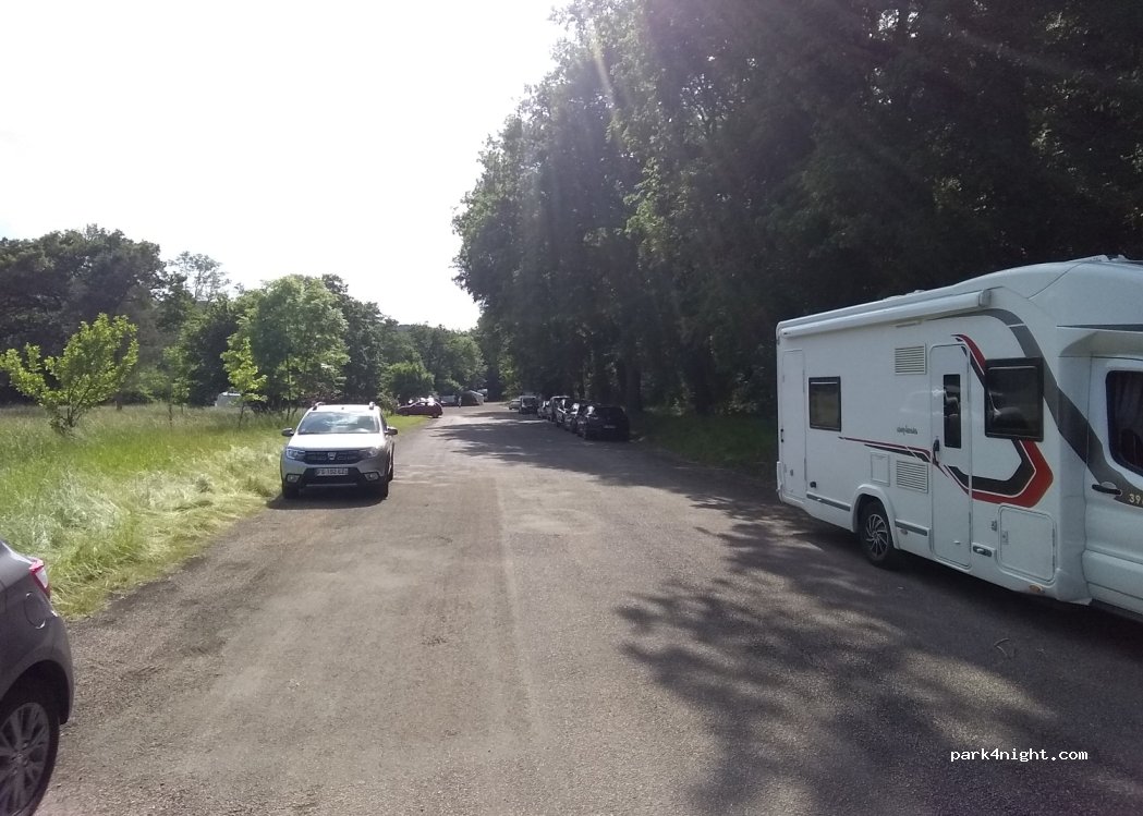 (89270) Arcy-sur-Cure - Bois des Grottes — foto