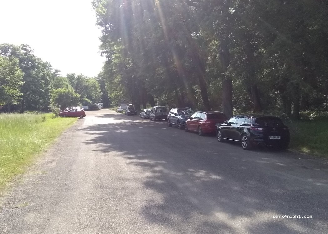 (89270) Arcy-sur-Cure - Bois des Grottes — foto 2