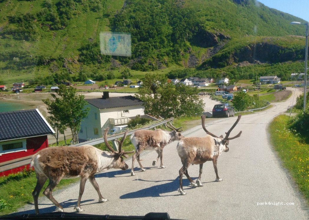 (9107) Tromvik - 48 Grøtfjordvegen — foto 3