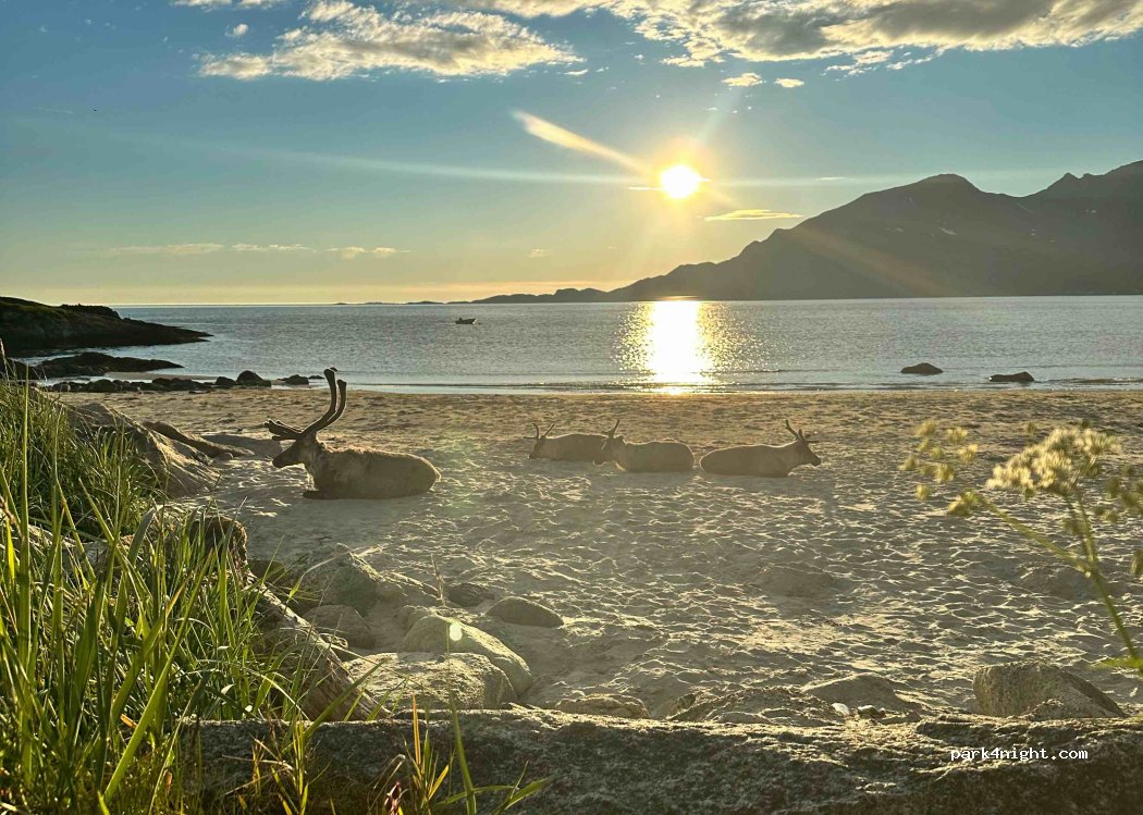 (9107) Tromvik - 48 Grøtfjordvegen — foto 4