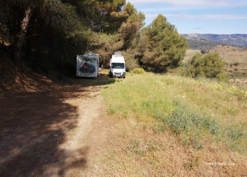 (29410) F - 12 Partida Campillo — foto