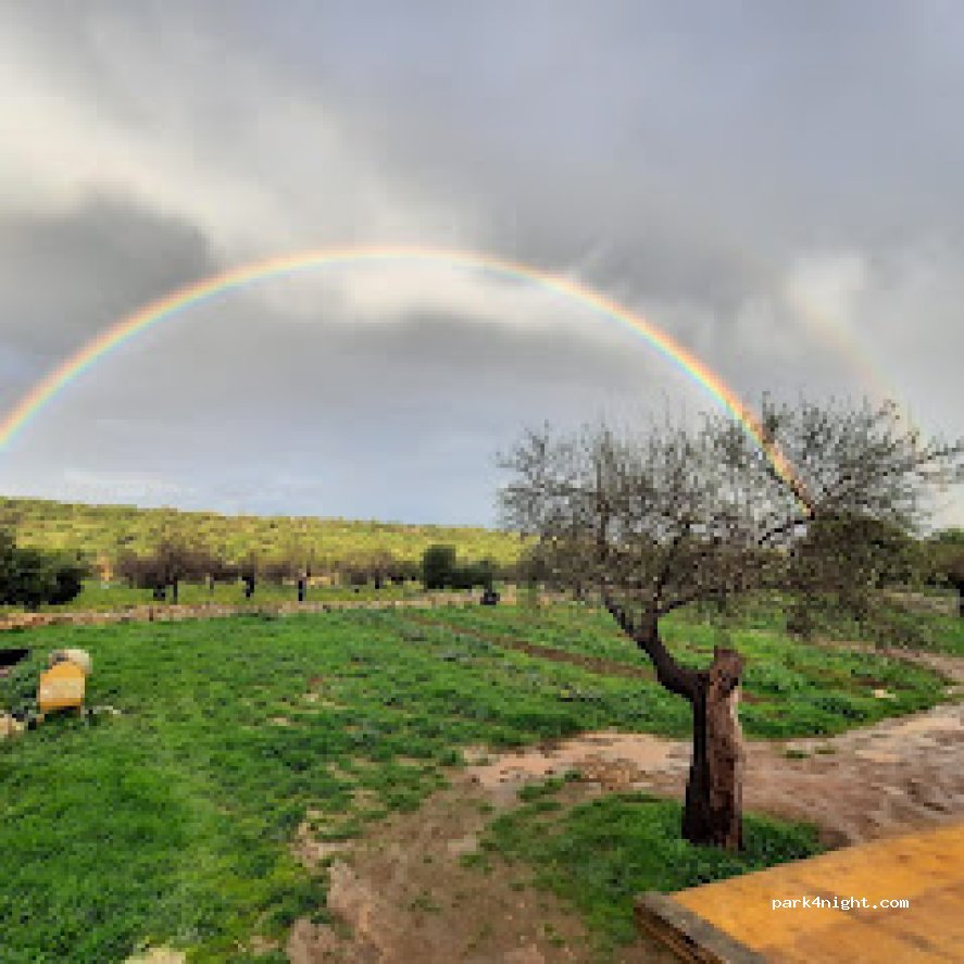 Il Bergamotto Azienda Agricola e Agriturismo — foto 2