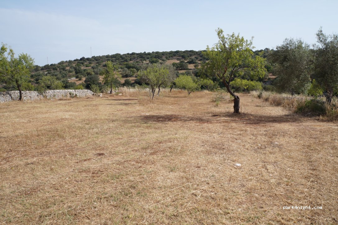Il Bergamotto Azienda Agricola e Agriturismo — foto 3
