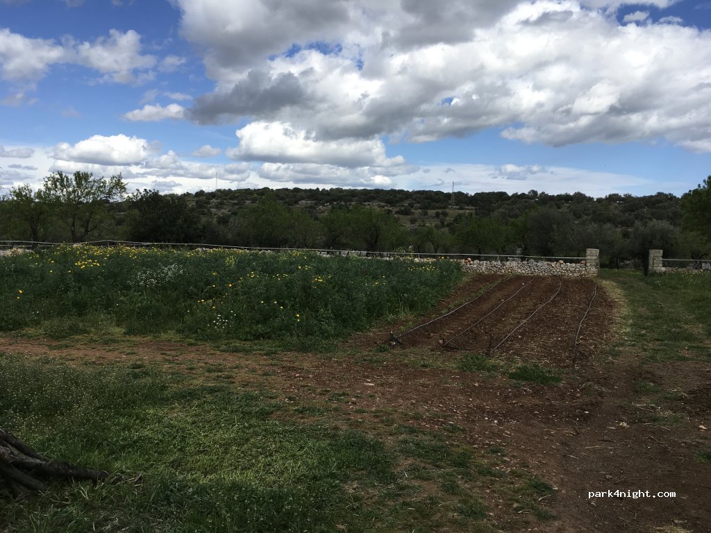 Il Bergamotto Azienda Agricola e Agriturismo — foto 4