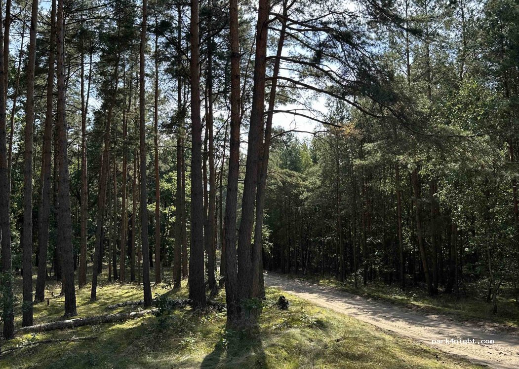 (19376) Siggelkow - Unnamed Road — foto 4