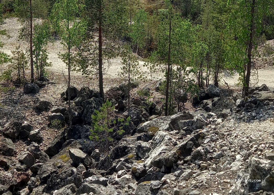 (63230) Lentilä - — foto 3