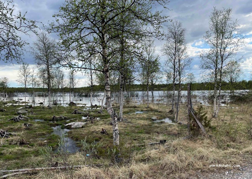 (99460) Enontekiö - Gevaliantie — foto 2