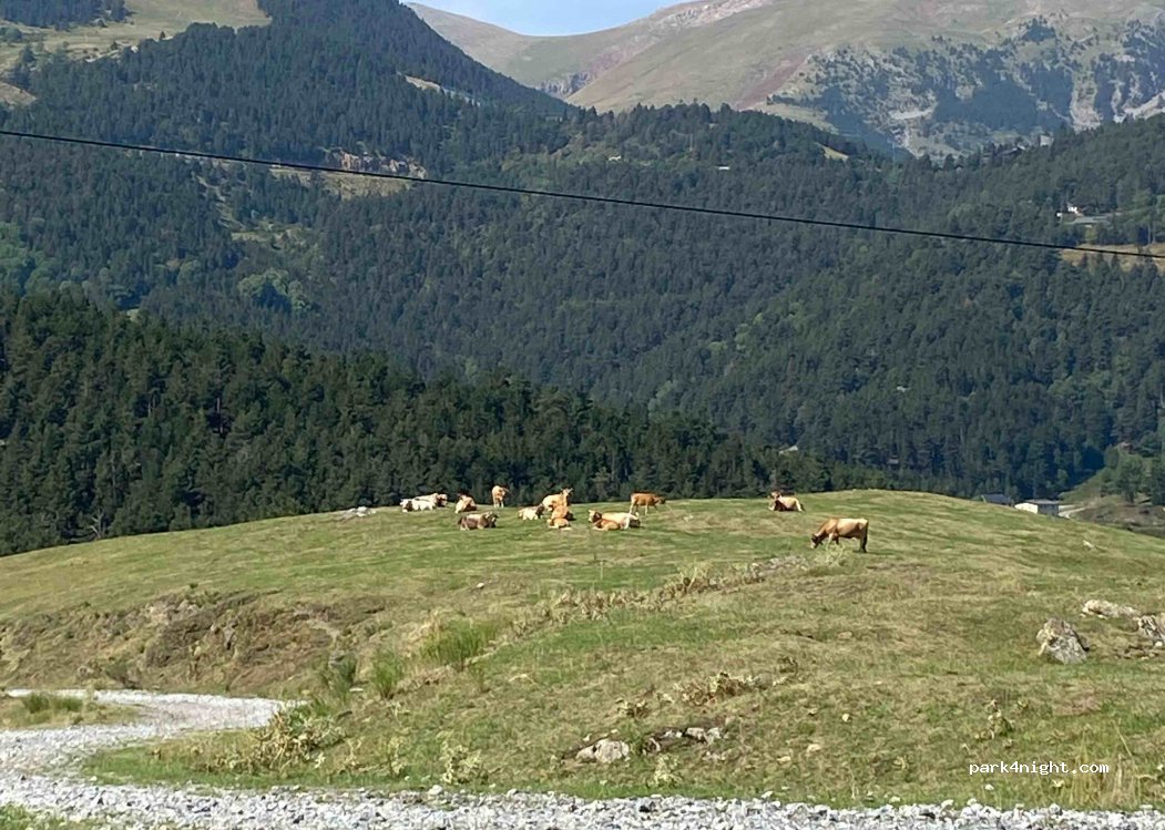(17537) La Molina - — foto 2