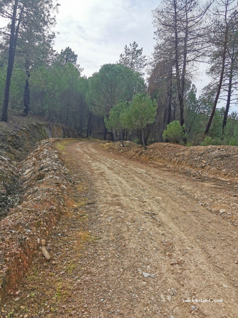 (21647) Monte Sorromero - — foto 2